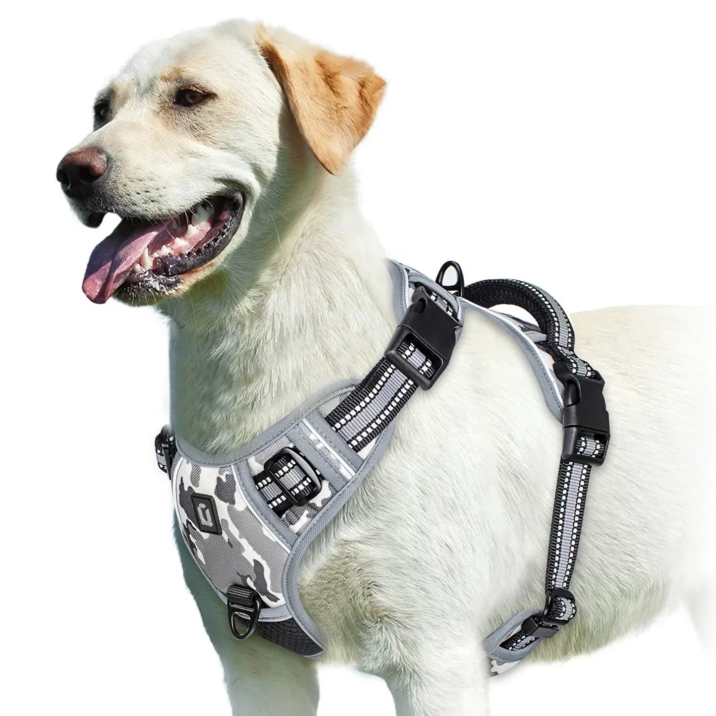 Adjustable Dog Harness for Comfortable Walks