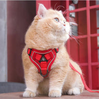 Arnés antiescape para gatos | CATWALKS