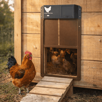 AUTOCOOP – Puerta automática para gallinero con sensor de luz y protección contra el clima