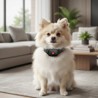 BARKCALM MINI – Collar anti-ladridos suave con sonido y vibración para perros pequeños