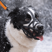 DOGORA – Bozal suave para perros para situaciones cotidianas seguras