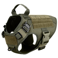 Set duradero para perros activos