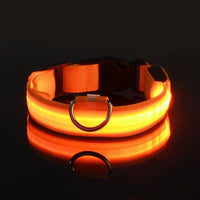 Collar fluorescente LED para perros para paseos seguros por la noche