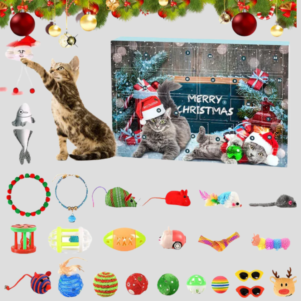 Olvoria | Cat Toy Advent Calendar for Daily Play