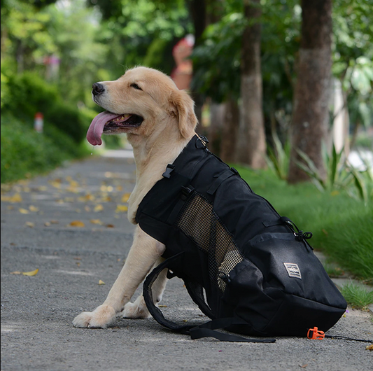 Olvoria | Dog Backpack Carrier