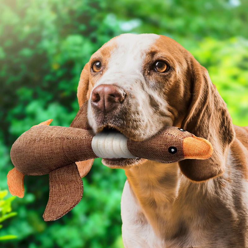 Olvoria | Dog Squeaky Duck Toy