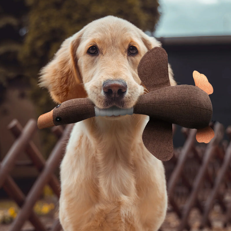Olvoria | Dog Squeaky Duck Toy