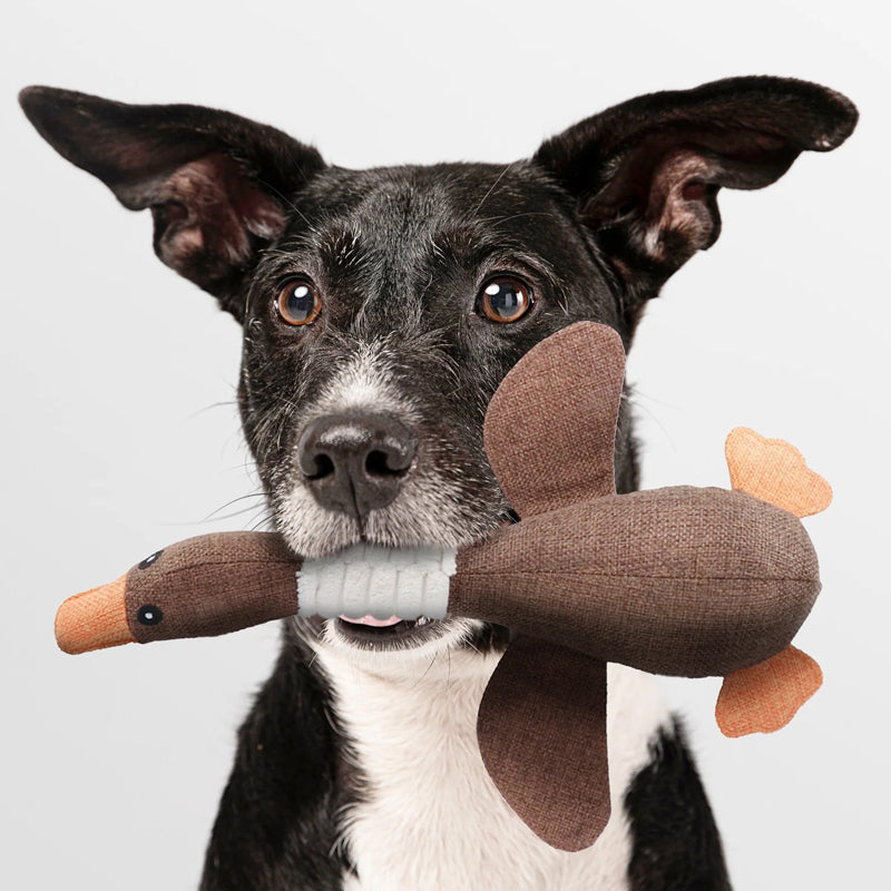 Olvoria | Dog Squeaky Duck Toy