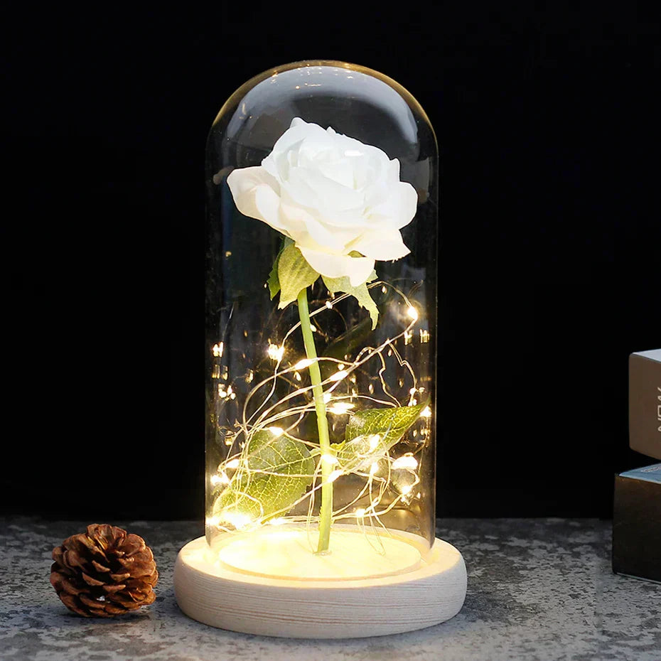 Olvoria – Eternal Rose in Glass Dome with Atmospheric LED Lighting