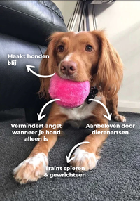 Olvoria | Pelota interactiva para perros - pelota automática rodante