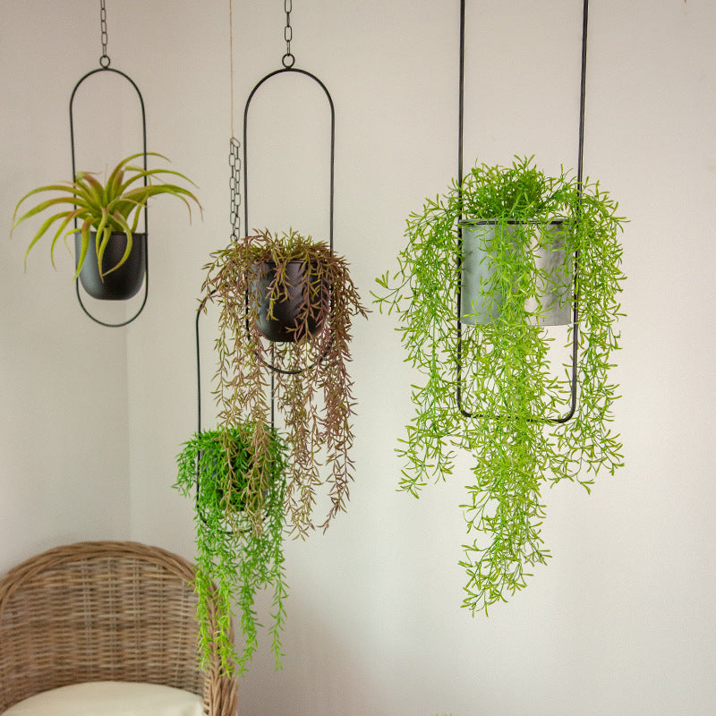 Olvoria | Luxury Modern Hanging Pots