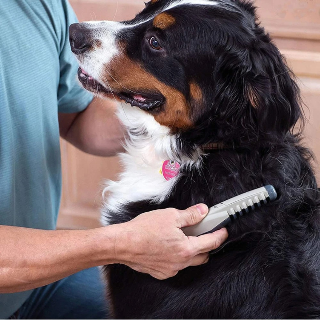 Olvoria | No More Knots & Tangles Pet Comb