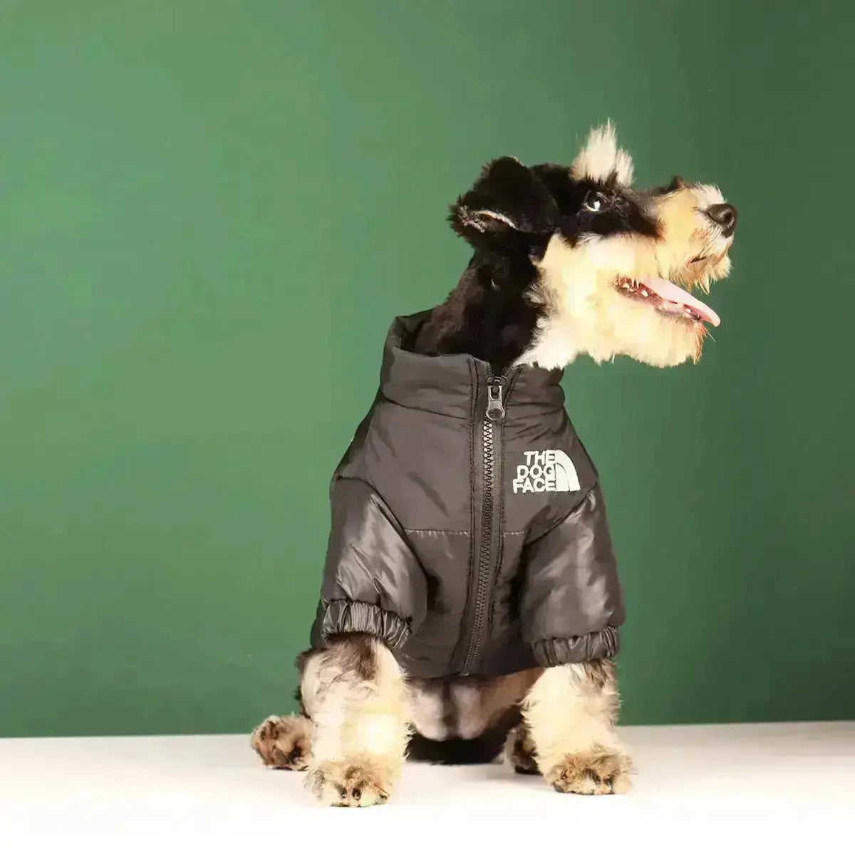 Olvoria | The Dog Face Jacket - Type A
