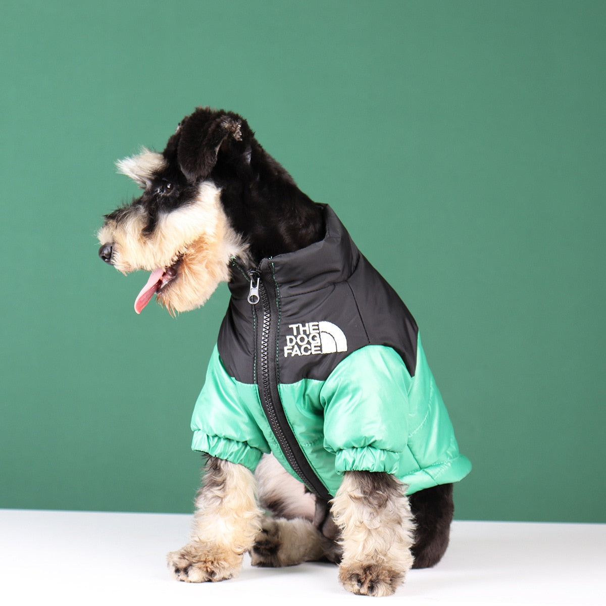 Olvoria | The Dog Face Jacket - Type A