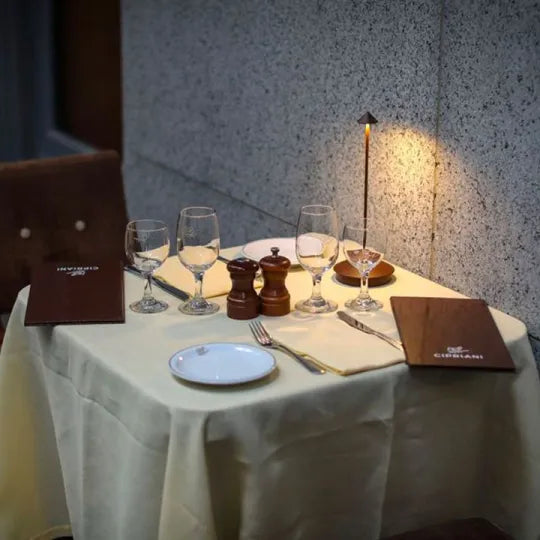 Olvoria | Wireless LED Table Lamp with Dimmable Light