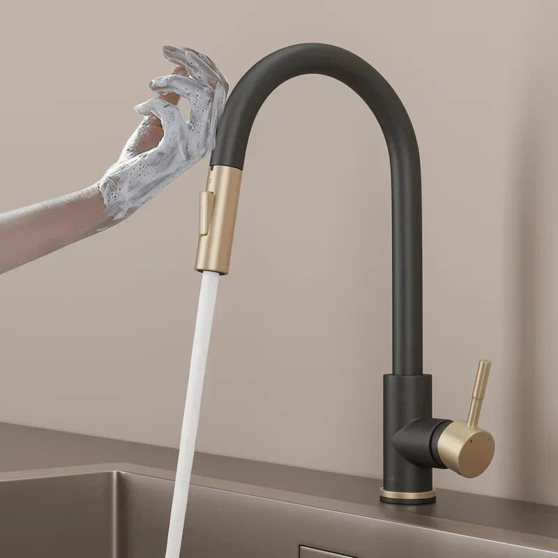Premium Touch Retractable Kitchen Faucet