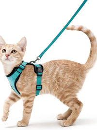 Arneses suaves y seguros para pasear con tu gato